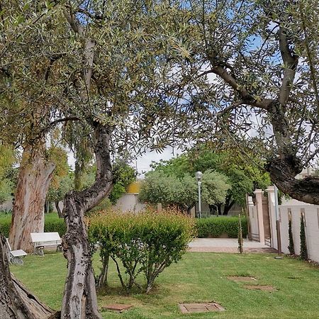 Flos Guest House Lucera Exterior photo