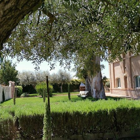 Flos Guest House Lucera Exterior photo