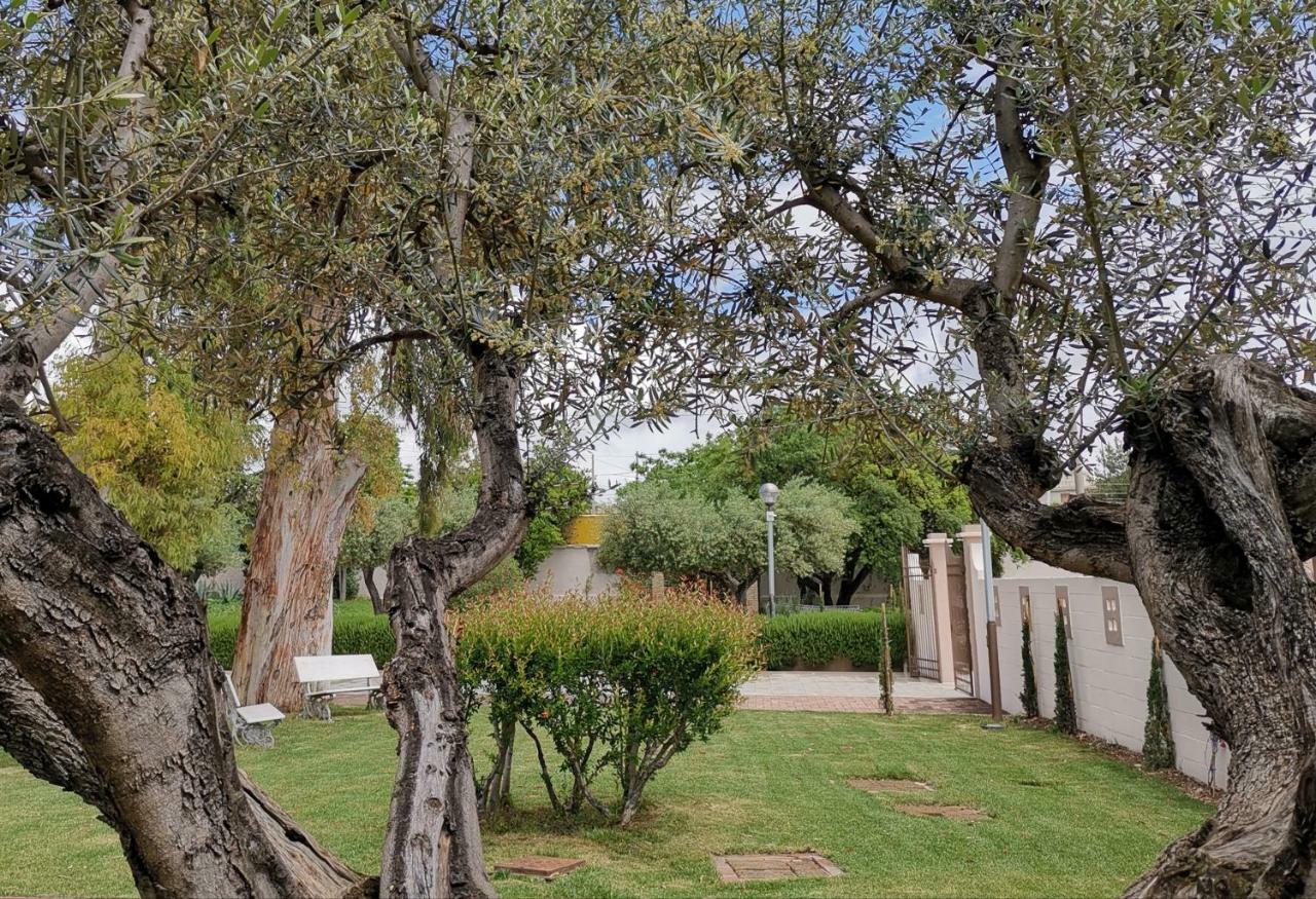 Flos Guest House Lucera Exterior photo